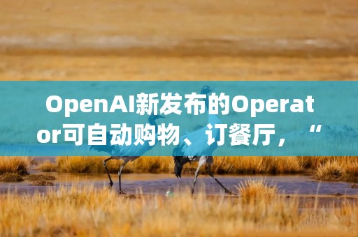 OpenAI新发布的Operator可自动购物、订餐厅，“2025年将是智能体真正发挥作用的一年”
