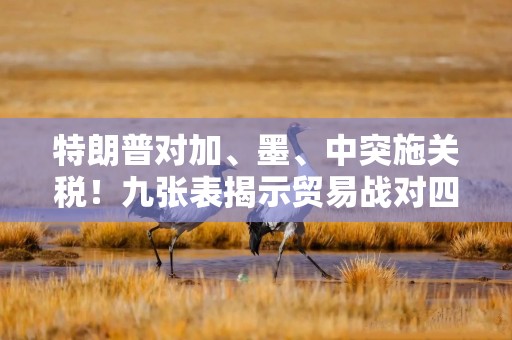 特朗普对加、墨、中突施关税！九张表揭示贸易战对四国有何影响