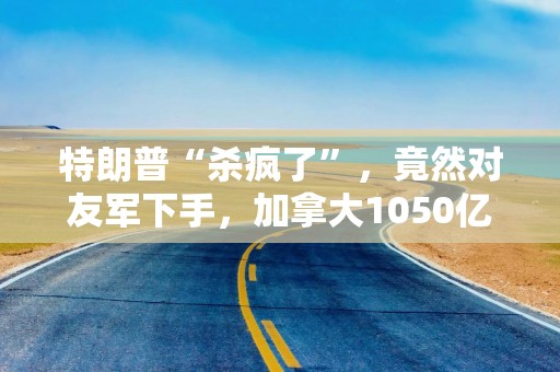 特朗普“杀疯了”，竟然对友军下手，加拿大1050亿美元已备好！
