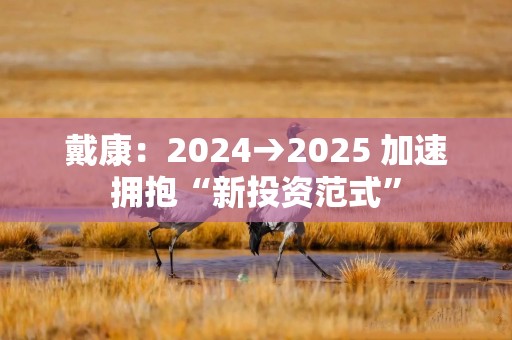 戴康：2024→2025 加速拥抱“新投资范式”