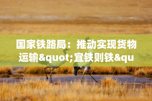 国家铁路局：推动实现货物运输"宜铁则铁" 促进降低物流成本