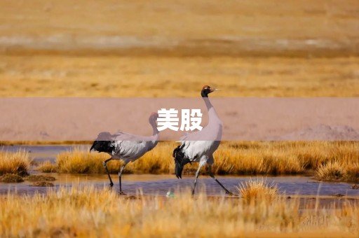 美股