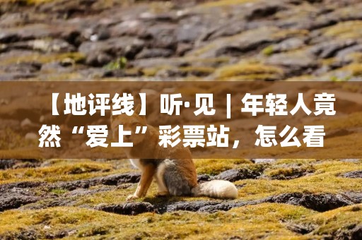 【地评线】听·见︱年轻人竟然“爱上”彩票站，怎么看？