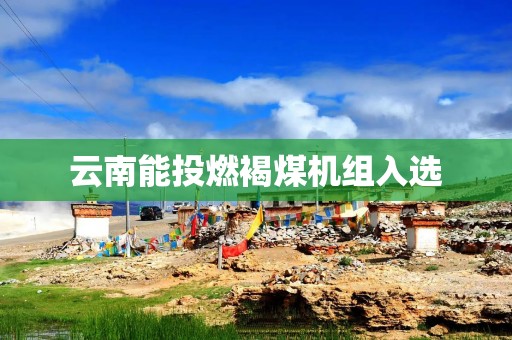 云南能投燃褐煤机组入选