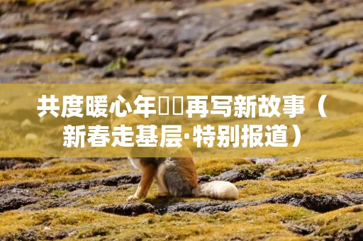 共度暖心年  再写新故事（新春走基层·特别报道）