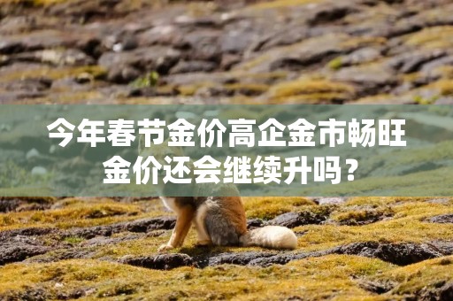 今年春节金价高企金市畅旺 金价还会继续升吗？