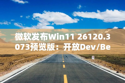 微软发布Win11 26120.3073预览版：开放Dev/Beta切换