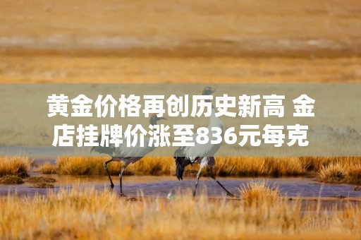 黄金价格再创历史新高 金店挂牌价涨至836元每克
