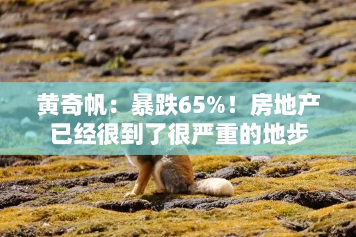 黄奇帆：暴跌65%！房地产已经很到了很严重的地步