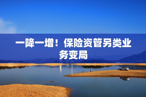 一降一增！保险资管另类业务变局