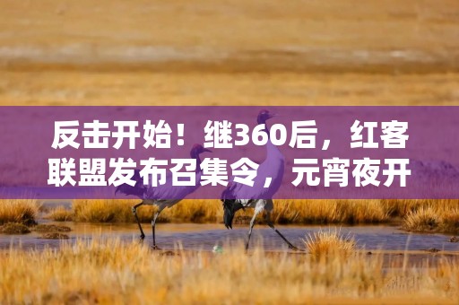 反击开始！继360后，红客联盟发布召集令，元宵夜开放红客工具包