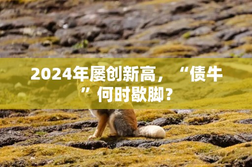 2024年屡创新高，“债牛”何时歇脚？