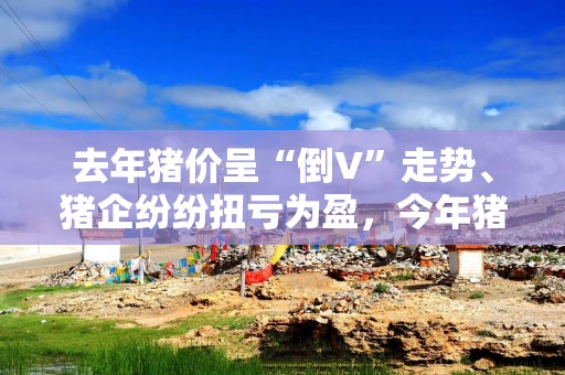 去年猪价呈“倒V”走势、猪企纷纷扭亏为盈，今年猪市行情如何走？