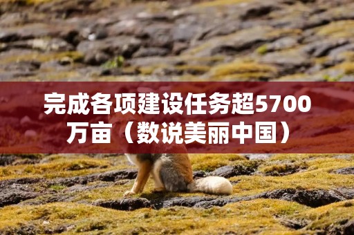完成各项建设任务超5700万亩（数说美丽中国）