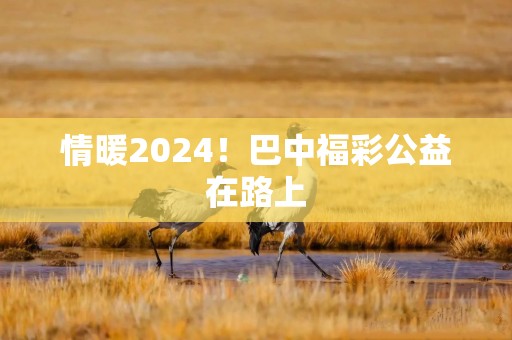 情暖2024！巴中福彩公益在路上