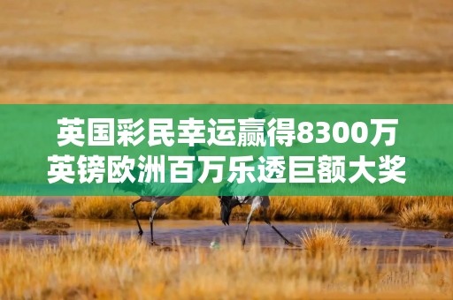 英国彩民幸运赢得8300万英镑欧洲百万乐透巨额大奖