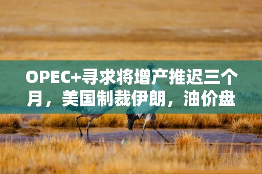 OPEC+寻求将增产推迟三个月，美国制裁伊朗，油价盘中涨3%
