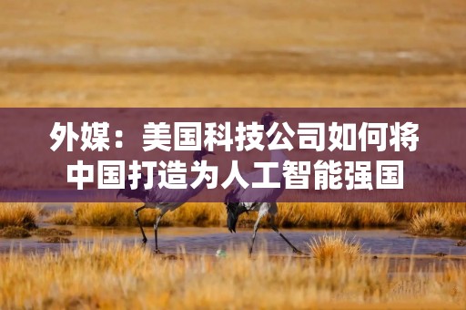 外媒：美国科技公司如何将中国打造为人工智能强国