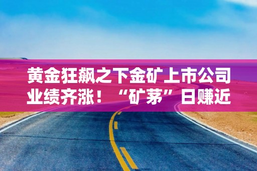 黄金狂飙之下金矿上市公司业绩齐涨！“矿茅”日赚近1亿元