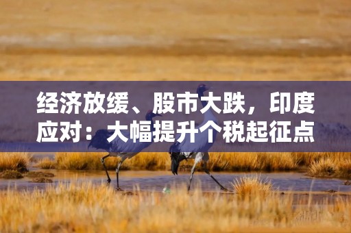 经济放缓、股市大跌，印度应对：大幅提升个税起征点促销费