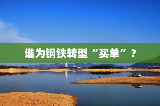 谁为钢铁转型“买单”？