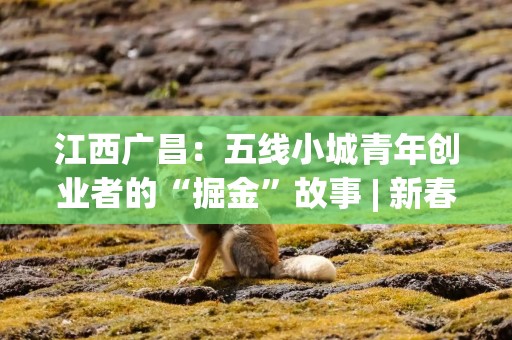 江西广昌：五线小城青年创业者的“掘金”故事 | 新春万象录