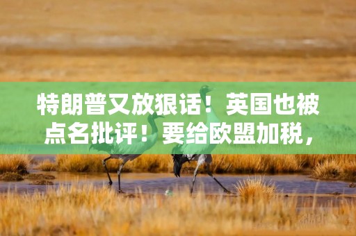 特朗普又放狠话！英国也被点名批评！要给欧盟加税，欧盟反应各不同