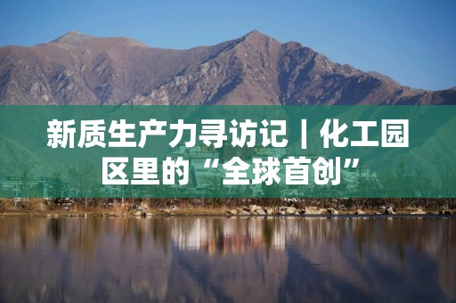 新质生产力寻访记｜化工园区里的“全球首创”