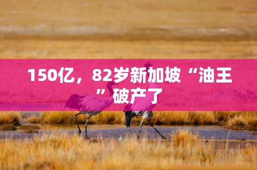 150亿，82岁新加坡“油王”破产了