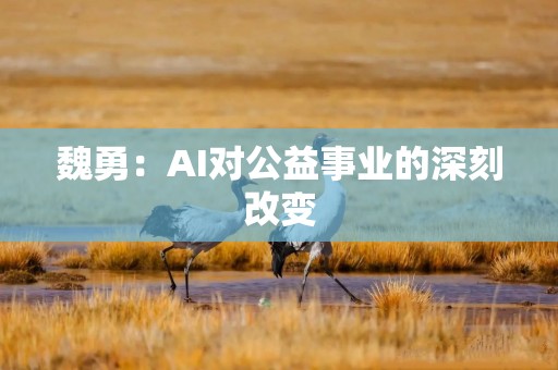 魏勇：AI对公益事业的深刻改变