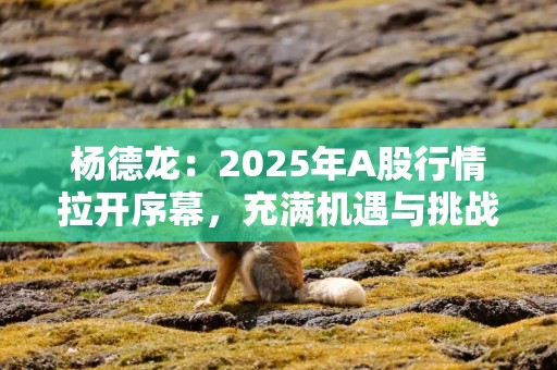杨德龙：2025年A股行情拉开序幕，充满机遇与挑战！预计政策面继续加码，推动A股走出第二波、第三波上涨行情