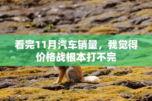 看完11月汽车销量，我觉得价格战根本打不完
