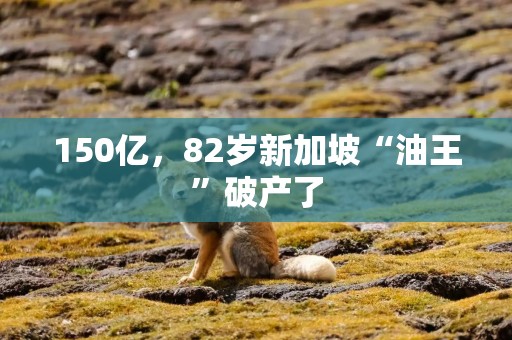 150亿，82岁新加坡“油王”破产了
