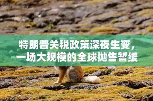 特朗普关税政策深夜生变，一场大规模的全球抛售暂缓