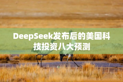 DeepSeek发布后的美国科技投资八大预测