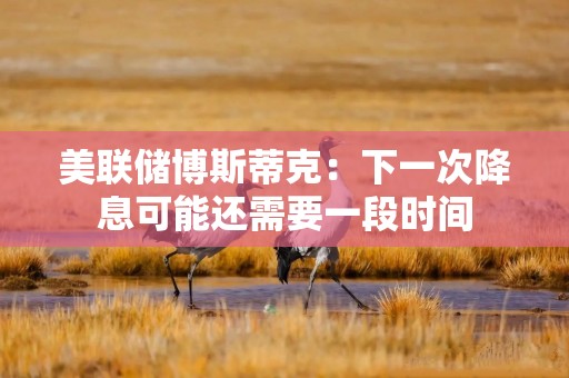 美联储博斯蒂克：下一次降息可能还需要一段时间
