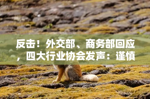 反击！外交部、商务部回应，四大行业协会发声：谨慎采购美国芯片