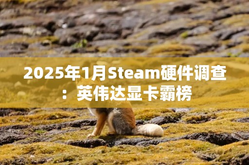2025年1月Steam硬件调查：英伟达显卡霸榜