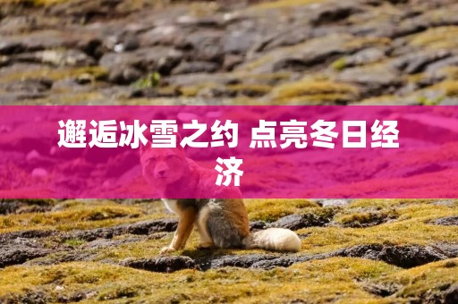 邂逅冰雪之约 点亮冬日经济