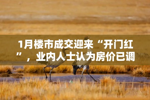 1月楼市成交迎来“开门红”，业内人士认为房价已调整到位