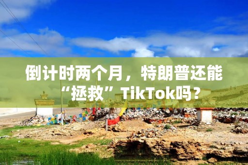 倒计时两个月，特朗普还能“拯救”TikTok吗？