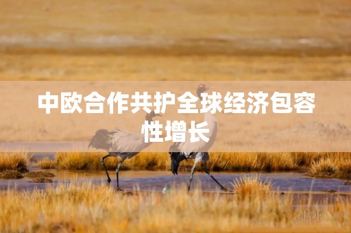 中欧合作共护全球经济包容性增长