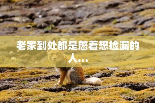 老家到处都是憋着想捡漏的人…