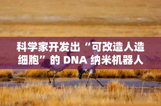 科学家开发出“可改造人造细胞”的 DNA 纳米机器人