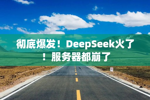 彻底爆发！DeepSeek火了！服务器都崩了