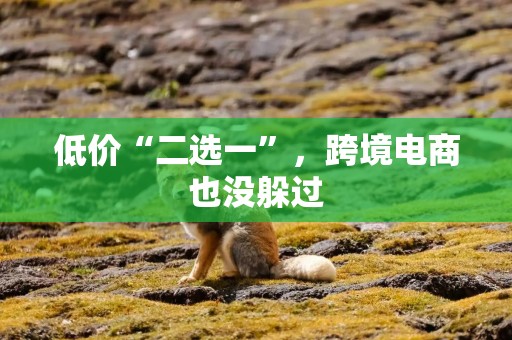 低价“二选一”，跨境电商也没躲过