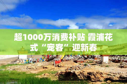 超1000万消费补贴 霞浦花式“宠客”迎新春