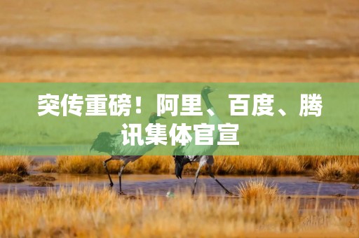 突传重磅！阿里、百度、腾讯集体官宣