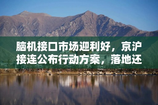 脑机接口市场迎利好，京沪接连公布行动方案，落地还有哪些挑战？