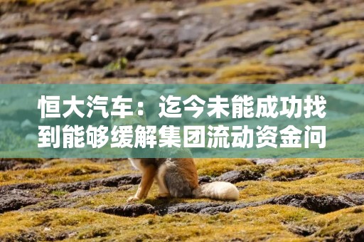 恒大汽车：迄今未能成功找到能够缓解集团流动资金问题并推进适当重组的战略投资者或买家